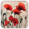 Plymouth Pottery - Red Poppies Coasters - Set of 6