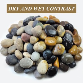 FANTIAN 20 lbs Natural River Rocks Mexican Beach Pebbles, 2-3 Inch Decorative River Rocks for Landscaping Garden Paving Plant Rocks Crafting Walkways and Outdoor Decorative Stone