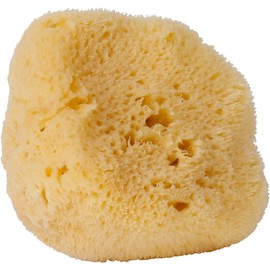 Esponja natural del mar – Croll & Denecke