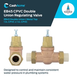 Cash Acme EB45 Pressure Regulating Valve, Double Union, 1 Inch CPVC, Metal Top, 60 PSI, PVA20M-DUVC-60