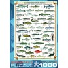 EuroGraphics Freshwater Fish 1000-Piece Puzzle