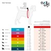 curli Classic Vest Harness Air Mesh with curli D-Ring Buckle,
