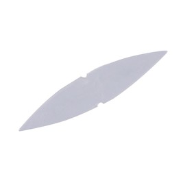 DAIWA Keimura Clear Worm for Tachiu Otenya