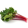 Rhubarb Crown Ready to Plant - Perennial 200 Pcs Seeds