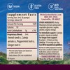 WishGarden WishGarden Herbs Digestive Rescue GI Normalizer - All-Natural Herbal & Organic Digestive Relief Tincture with Peppermint Leaf, Ginger Root and Fennel Seed, Quickly Soothes Digestive Discomforts, 2oz