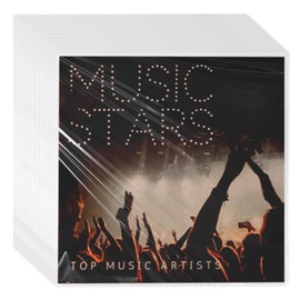 Vinyl Record Sleeves, Pack of 100 Vinyl Record Sleeves, LP Sleeves, Vinyl Sleeves, Vinyl Record Inner Sleeves, Vinyl Record for 12 Inch Vinyl Record Covers Vinyl Sleeves