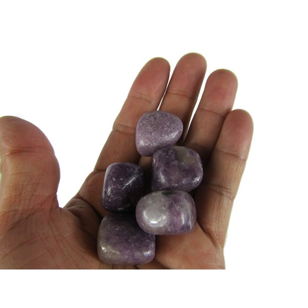 CircuitOffice 5 Piece Lepidolite Tumbled Stone (0.75" - 1") - Healing Stones, Metaphysical Healing, Chakra Stones for Wicca, Reiki, Healing, Metaphysical, Chakra, Positive Energy or Gift