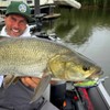 LMAB Flash Vibe 67, 80 & 98 mm - Twitchbait
