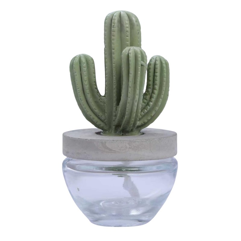 Pretty Valley Home Reed Diffuser Set Ceramic Cactus Fragrance Diffuser-White
