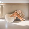 6 Pcs Hermit Crab Food Bowl Small Wooden Feeding Dish