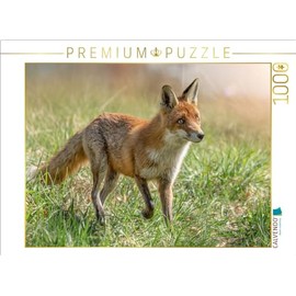 CALVENDO Puzzle A Motif from The Calendar Foxes - Magical Souls | 1000 Pieces Size 25" x 19"