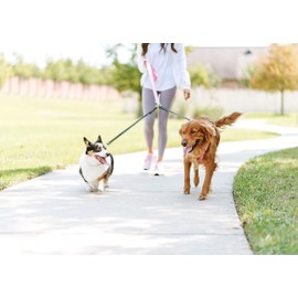 Cajun Tie Downs Reflective - Double Dog Leash - No Tangle - Adjustable - 13-24" - Made in USA