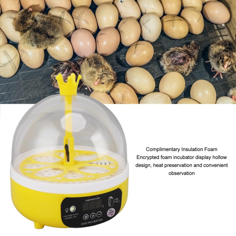 Mini Egg Incubator with Automatic Temperature Humidity Control, 4 Eggs