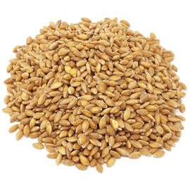Einkorn Wheat Berries, Organic, Non-GMO, Ancient Whole Grain, High in Protein and Fiber, 25 lb