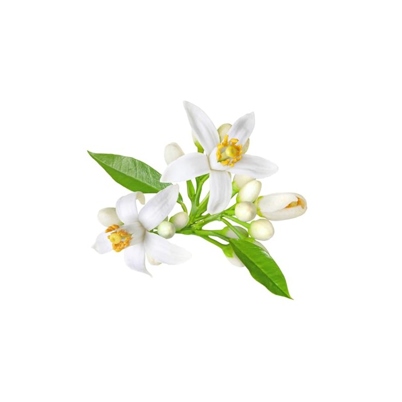 Malandel Orange Flower Water from OliveNation, Imported from France -