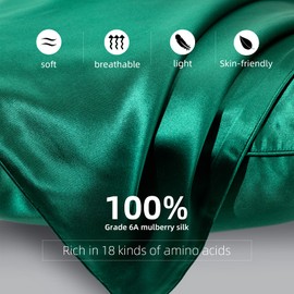 spencer & whitney Silk Pillowcase for Hair and Skin Health with Hidden Zipper 100% Mulberry Silk Bed Pillowcase Both Side 22 Momme Silk(Blue)