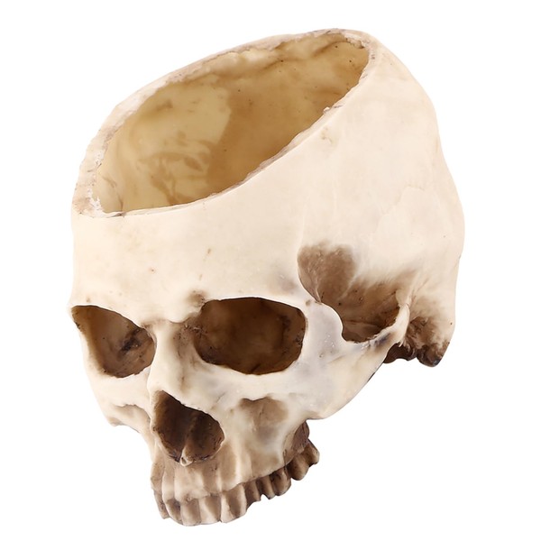 BAFOVY Skull Pot, High Wear Resistance, Suitable for Bar Night