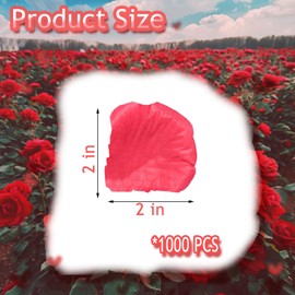 Grever 1000 Pieces Valentine's Day Artificial Silk Rose Petals Faux Red Flowers for Wedding Valentines Proposal Anniversary and Romantic Party Decoration (Dark Red)