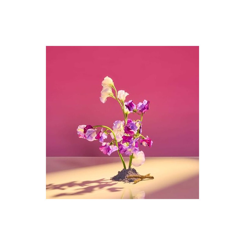TREE HUT, Flower Milk Shea Sugar Scrub, Exfoliante Corporal de