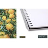 Artme A4 Acrylic Pad (2 Pack) - 12 Sheets/ 400gsm
