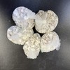 Waka Sterilized Clean Oyster Shells 5 Bags Aquarium Filter Material
