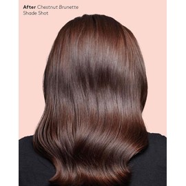 Josh Wood Permanent Colour 6.0 Chestnut Brunette Shade Shot 4 to 6 Bundle - Striking Permanent Colour with Shine Complex, 100% Grey Coverage, Ammonia Free, Kind to Hair Ingredients