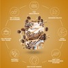 IronMaxx Proteccino – Cappuccino 500g Beutel | Protein Kaffee mit
