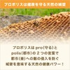 プロポリス アクアリキッド 原液濃縮タイプ 30ml エキス濃度50％ ノンアルコール 甘味エキス 天然香料