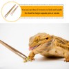 ASOCEA 2 Pack Extra Long Reptile Tweezers Feeder Tool Lizard