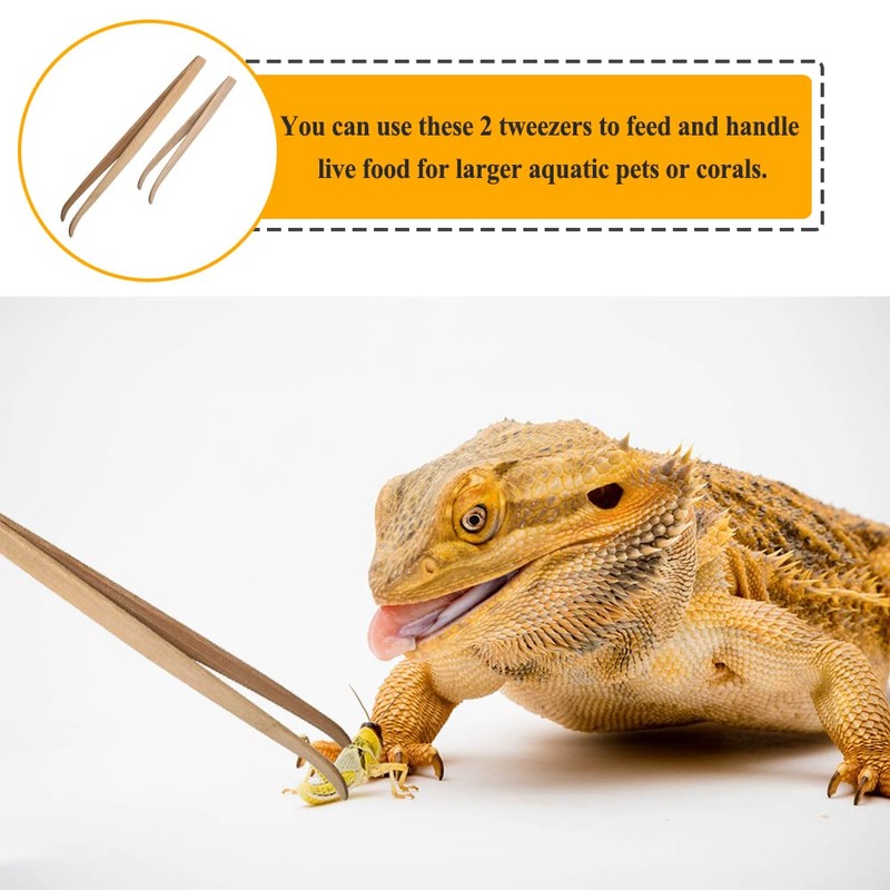 ASOCEA 2 Pack Extra Long Reptile Tweezers Feeder Tool Lizard