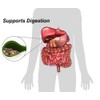 DrFormulas 18 Digestive Enzymes to Support Gallbladder and Pancreatic Enzymes