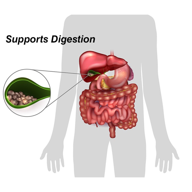 DrFormulas 18 Digestive Enzymes to Support Gallbladder and Pancreatic Enzymes