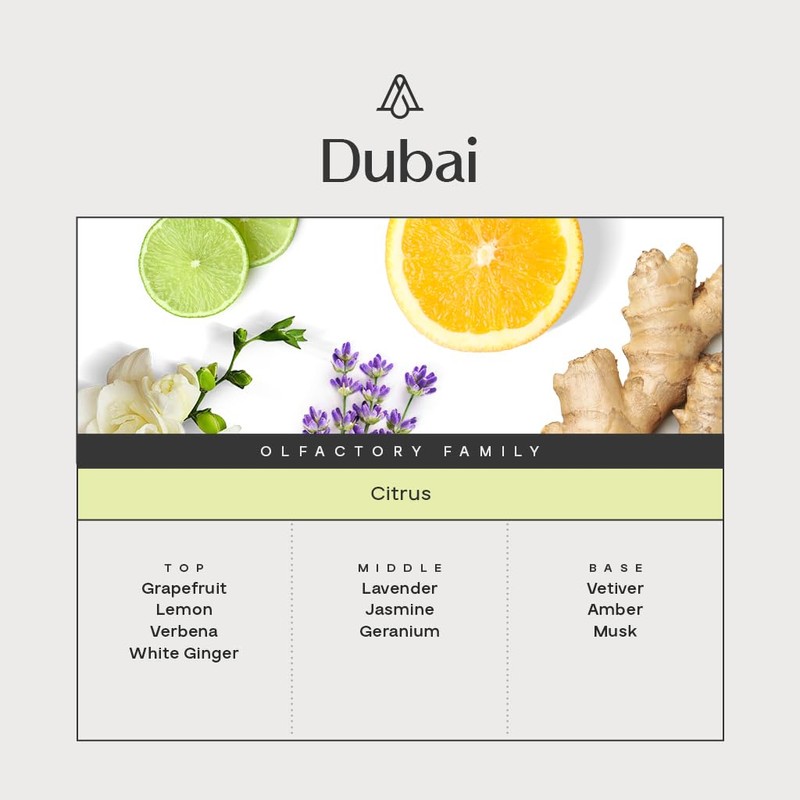 AromaPlan Hotel Scents Dubai 5 Fl Oz (148ml), Home Luxury