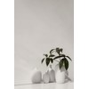 blomus CEOLA Set of 3 Ceramic Flower Vases, White