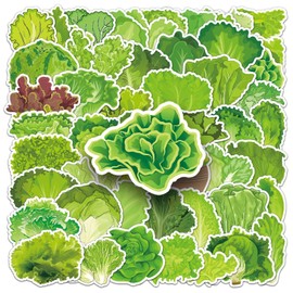50 Lettuce Leaves Vinyl Waterproof Aesthetical Scrapbooking Sticker Pack for Laptop, Boys, Girls, Adult Stickers (Lettuce)
