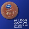 Vaseline Cocoa Glow - Paquete De 12 Cremas Corporales De