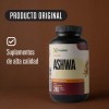 Ashwa | Adaptógeno | 240 Cápsulas | Calma Tu Mente
