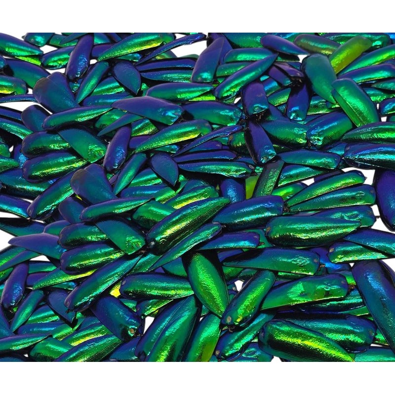 WitnyStore Jewel Beetle Wings Emerald Green 100 Pieces Set Metallic