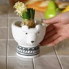 SPICE OF LIFE CCGF1080C Pot Cover Animal Pot White Bear