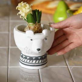 SPICE OF LIFE CCGF1080C Pot Cover Animal Pot White Bear 4.3 inches (11 cm)