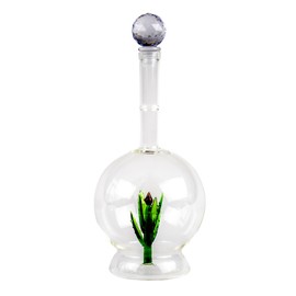 Tequila Aloe Decanter With Agave Plant, Round Design, Glass Design Decanter Perfect For Bar or Tequila Party, Unique Shape Gift Him, Her, Home Decor - 750mL Large Bottle, Gifts for Mexcal Lovers