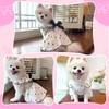 Dog Dresses for Small Dogs Girl, Puppy Dress Heart Print