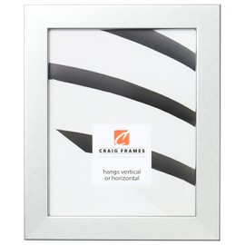 Craig Frames Bauhaus 125 Picture Frame, 19 x 25 Inch, Brushed Silver