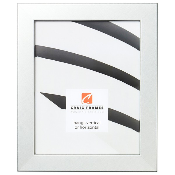 Craig Frames Bauhaus 125 Picture Frame, 19 x 25 Inch,