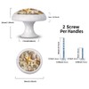 Artinhand 4 Pack Coastal Seashells Cabinet Knobs for Kitchen Bathroom