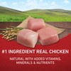 Purina ONE Chicken and Rice Formula Dry Dog Food -