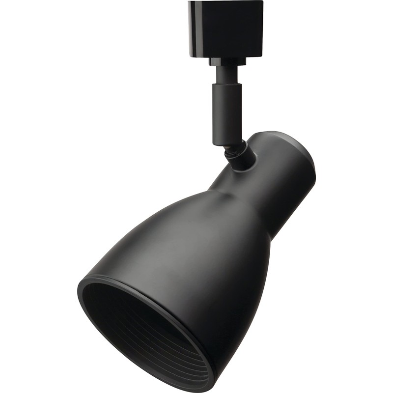 Lithonia Lighting LTHNSTBF BR20 DBL M2 Baffle Head Track Lighting,