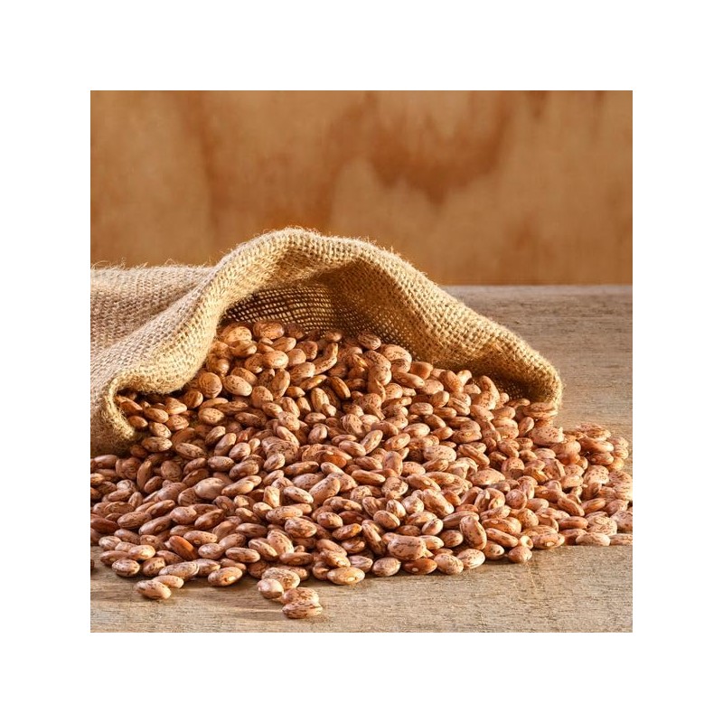 Augason Farms Pinto Beans 4-Gallon Pail, Emergency Food Supply, Everyday