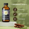 DR Vanilla Organic Cinnamon Extract Alcohol Free (4oz)