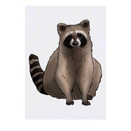 'Sitting Raccoon' Temporary Tattoo - Water Resistant, Skin-Safe, Non-Toxic Transfer (TO00051232)
